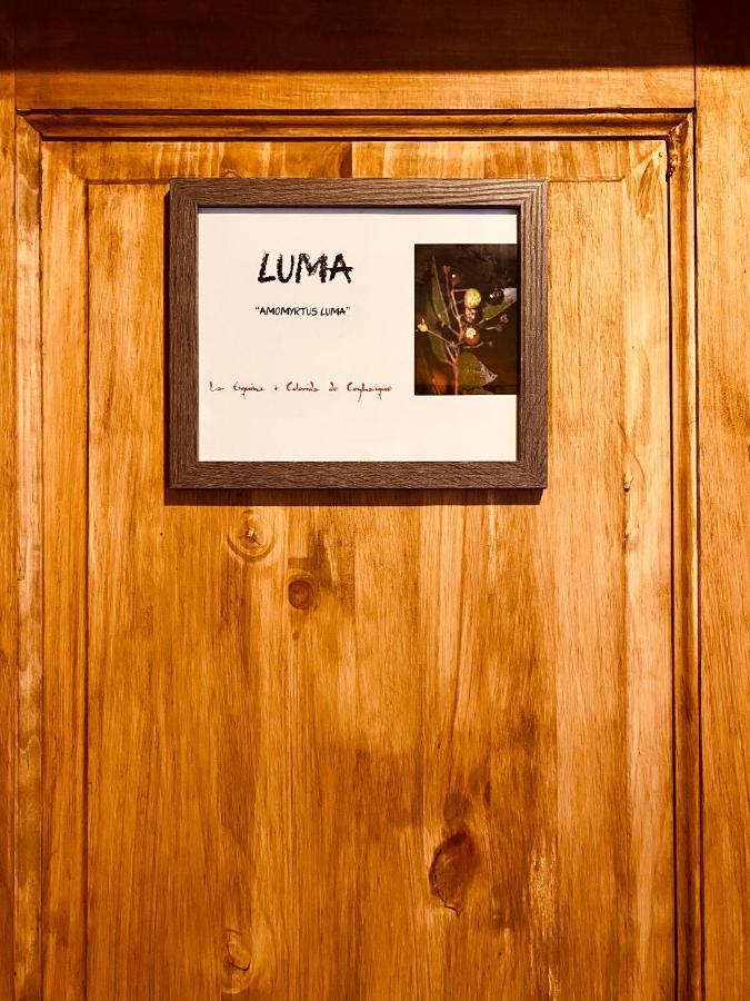 Hostal Esquina Patagonica Coyhaique Luaran gambar